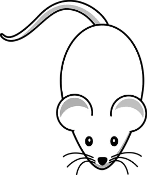 Affordable-Rodent-Control--in-Arcadia-California-affordable-rodent-control-arcadia-california.jpg-image