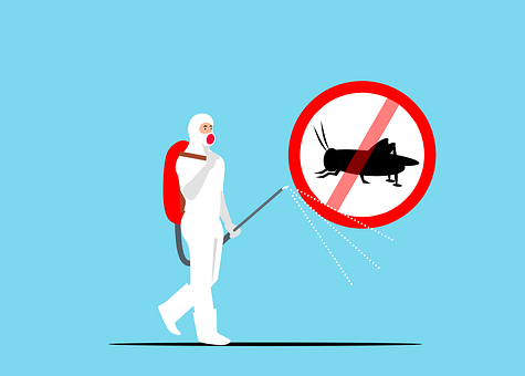 Exterminators--in-Carson-California-exterminators-carson-california.jpg-image