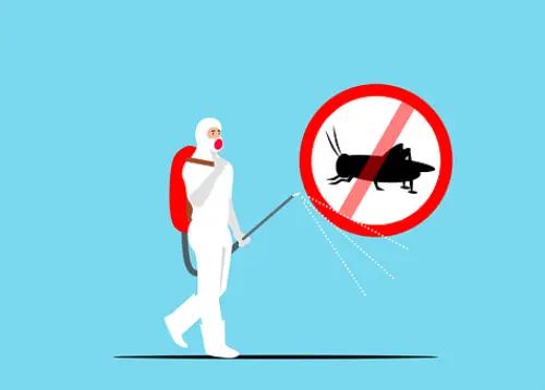 Exterminators--in-Pico-Rivera-California-exterminators-pico-rivera-california.jpg-image