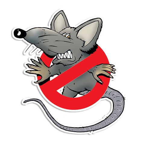 Rodent-Control--in-Paramount-California-rodent-control-paramount-california.jpg-image